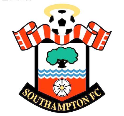 武切维奇的 武切维奇的